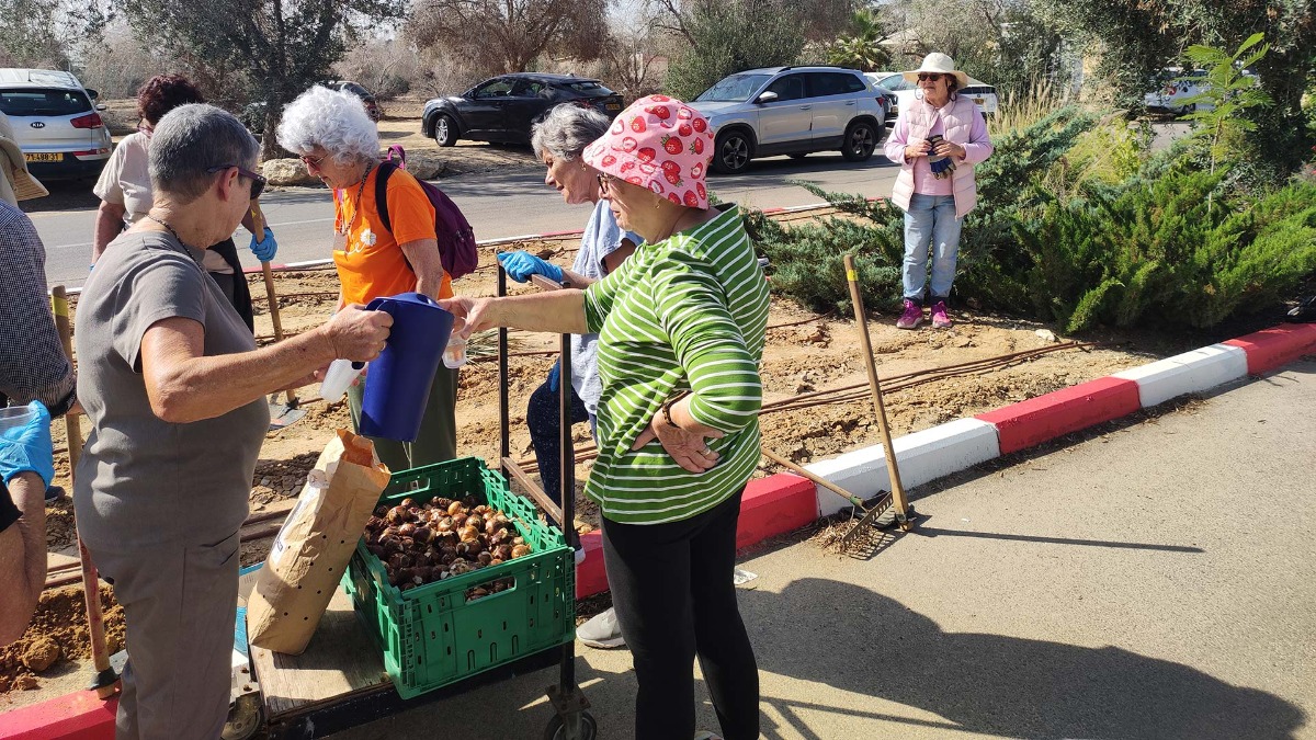 שתילת פקעות בנווה אשכול