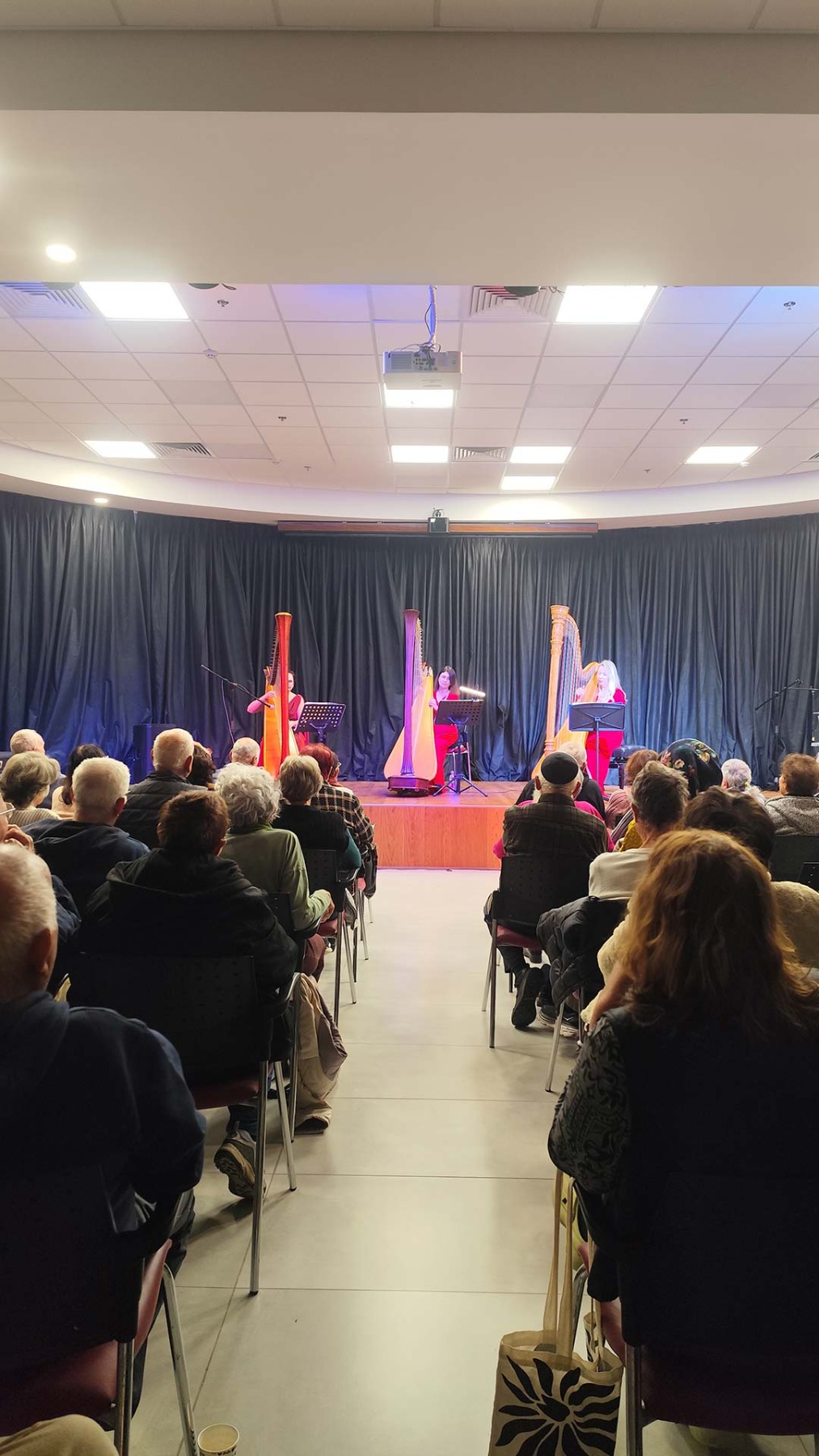 שלישיית הנבל ורסאי