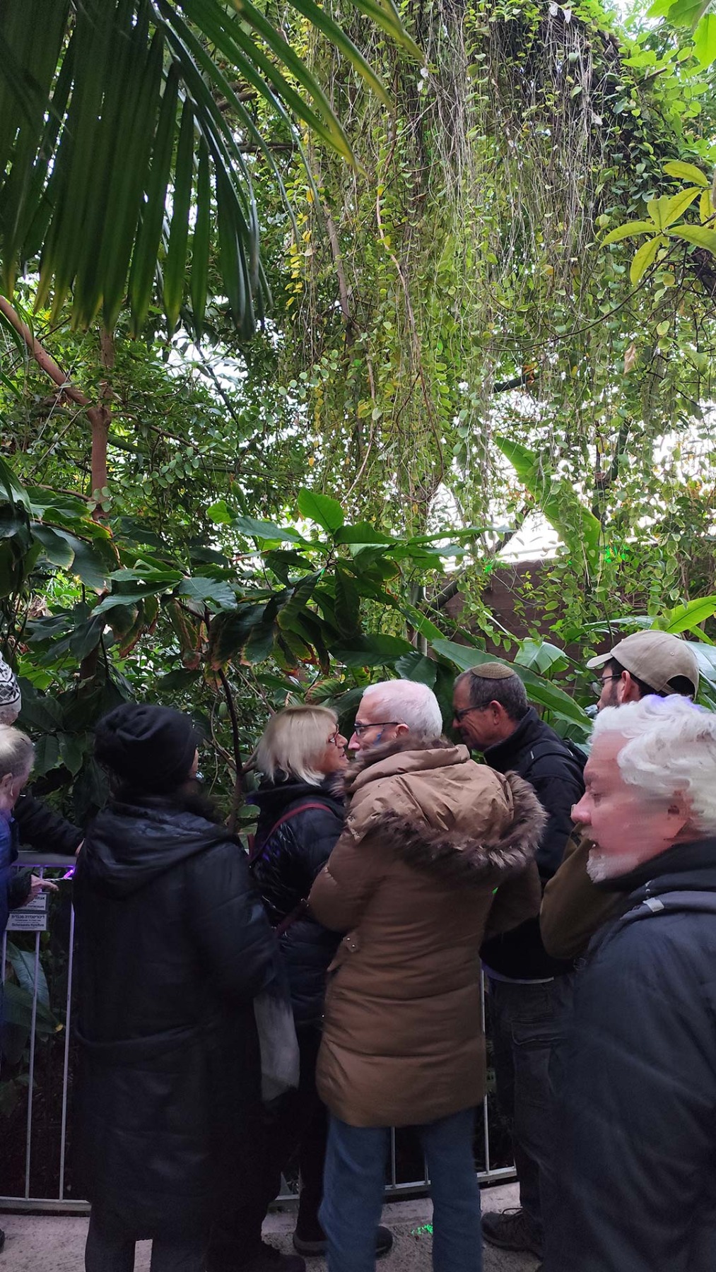 טיול ותיקים לגן הבוטני בירושלים