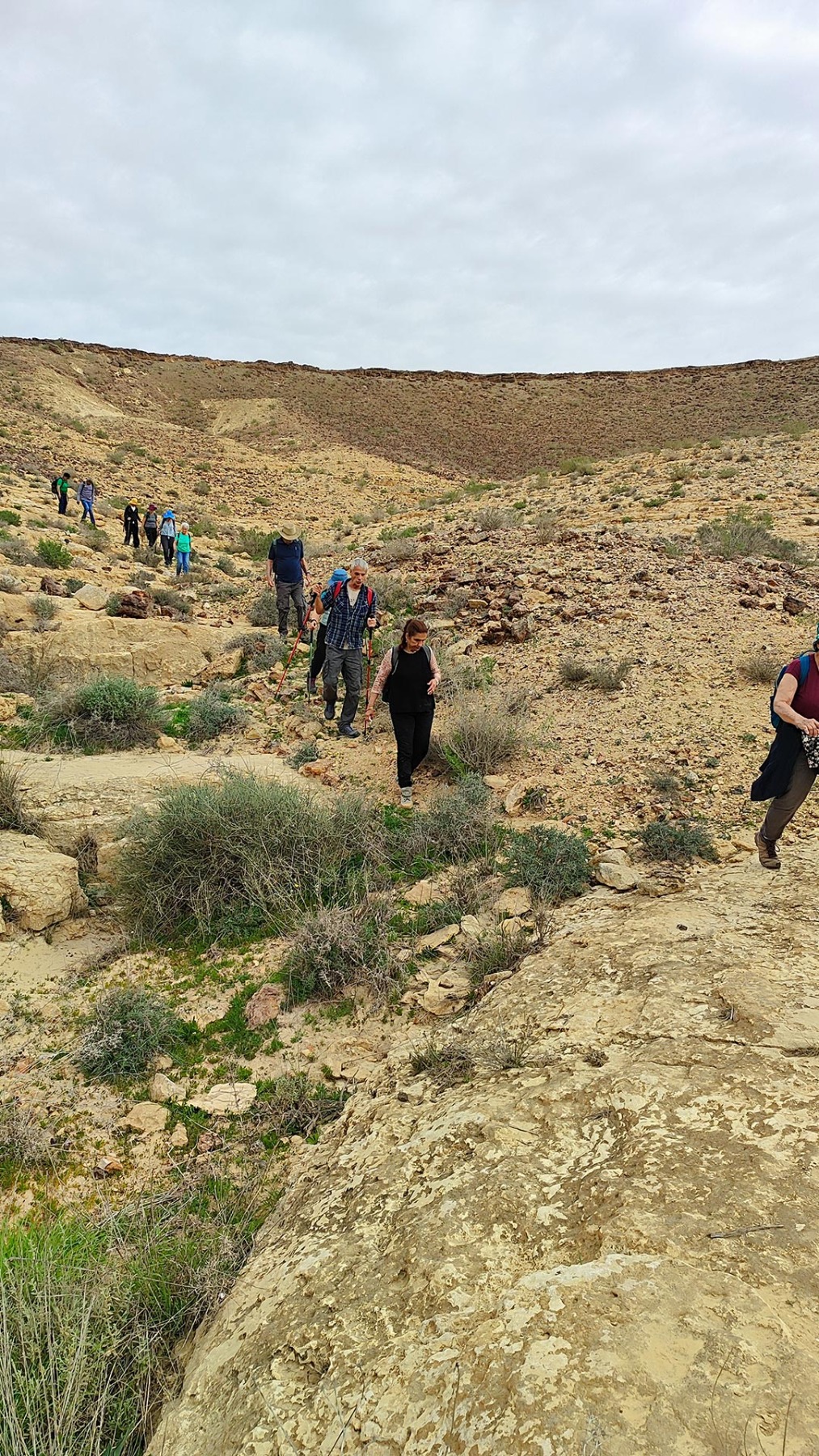 נווה אשכול מטיילים בשבילי ישראל עם יוני שטרן - נחלים חצץ ומצדים