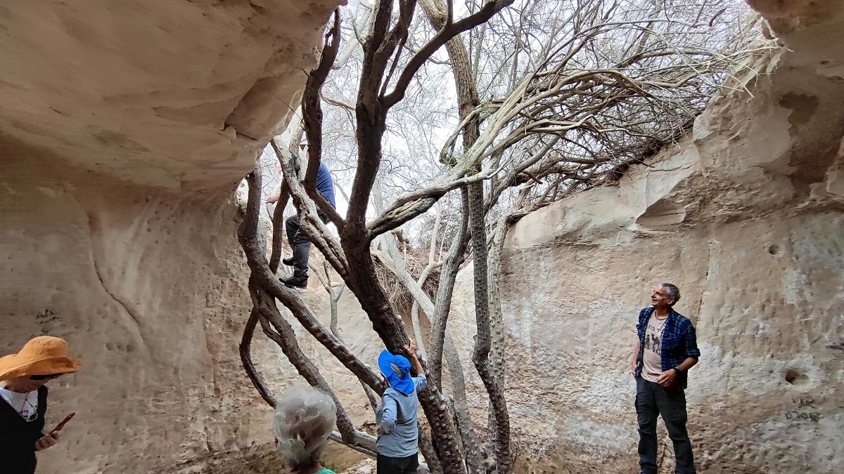 נווה אשכול מטיילים בשבילי ישראל עם יוני שטרן - נחלים חצץ ומצדים