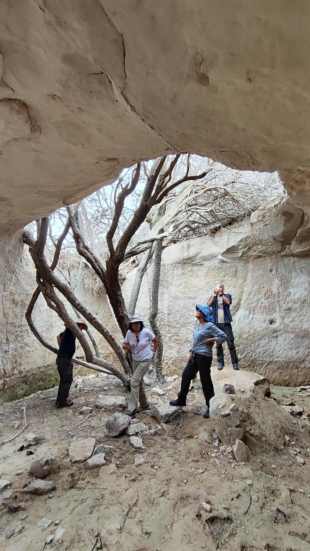 נווה אשכול מטיילים בשבילי ישראל עם יוני שטרן - נחלים חצץ ומצדים