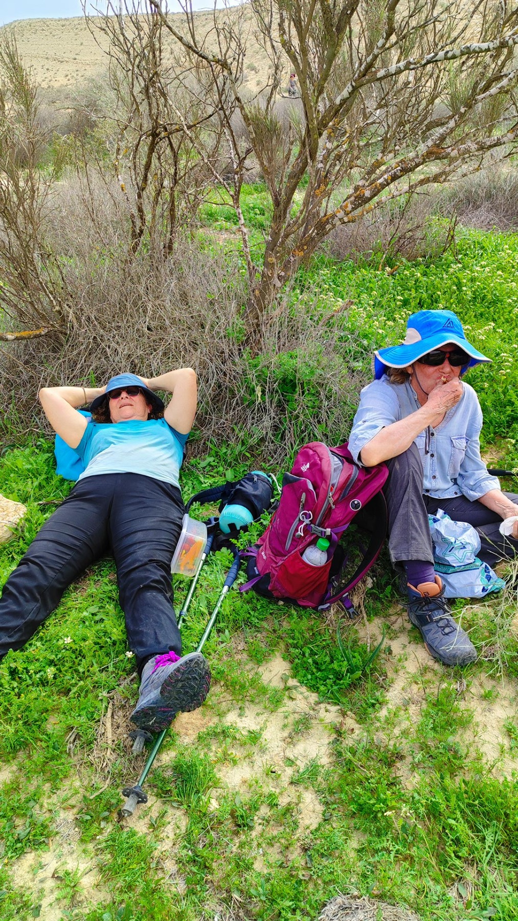 נווה אשכול מטיילים בשבילי ישראל עם יוני שטרן - נחלים חצץ ומצדים