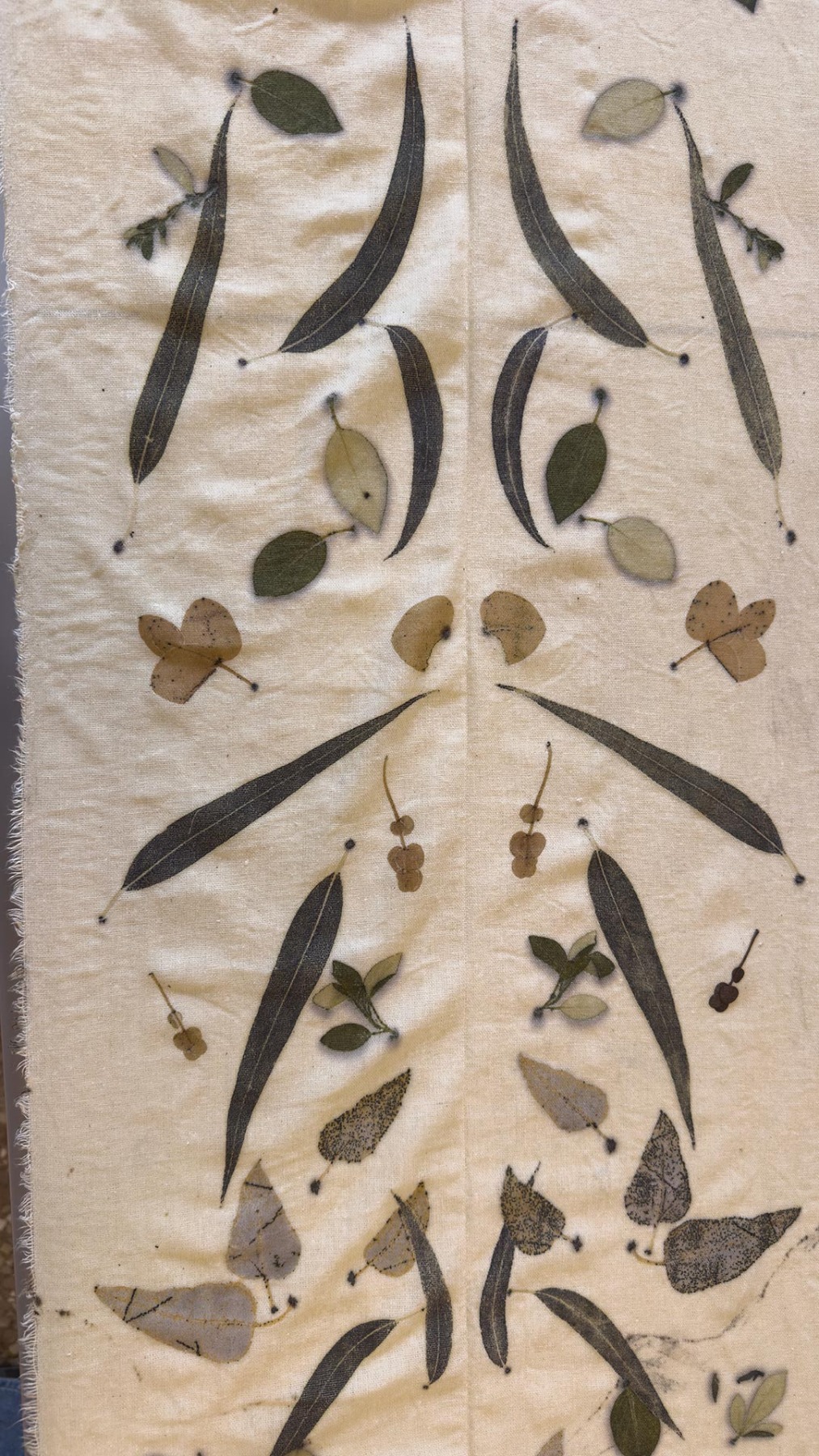 סדנת הדפסים בוטניים