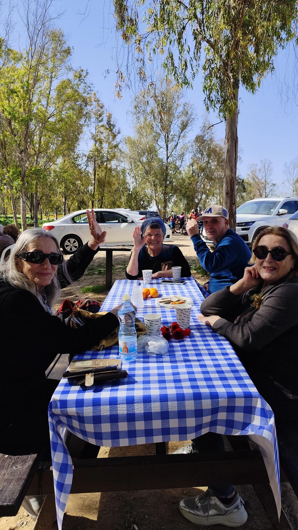 טיול פריחת כלניות בבאר מרווה ביער שוקדה