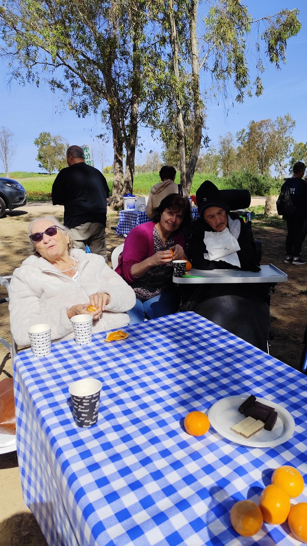 טיול פריחת כלניות בבאר מרווה ביער שוקדה